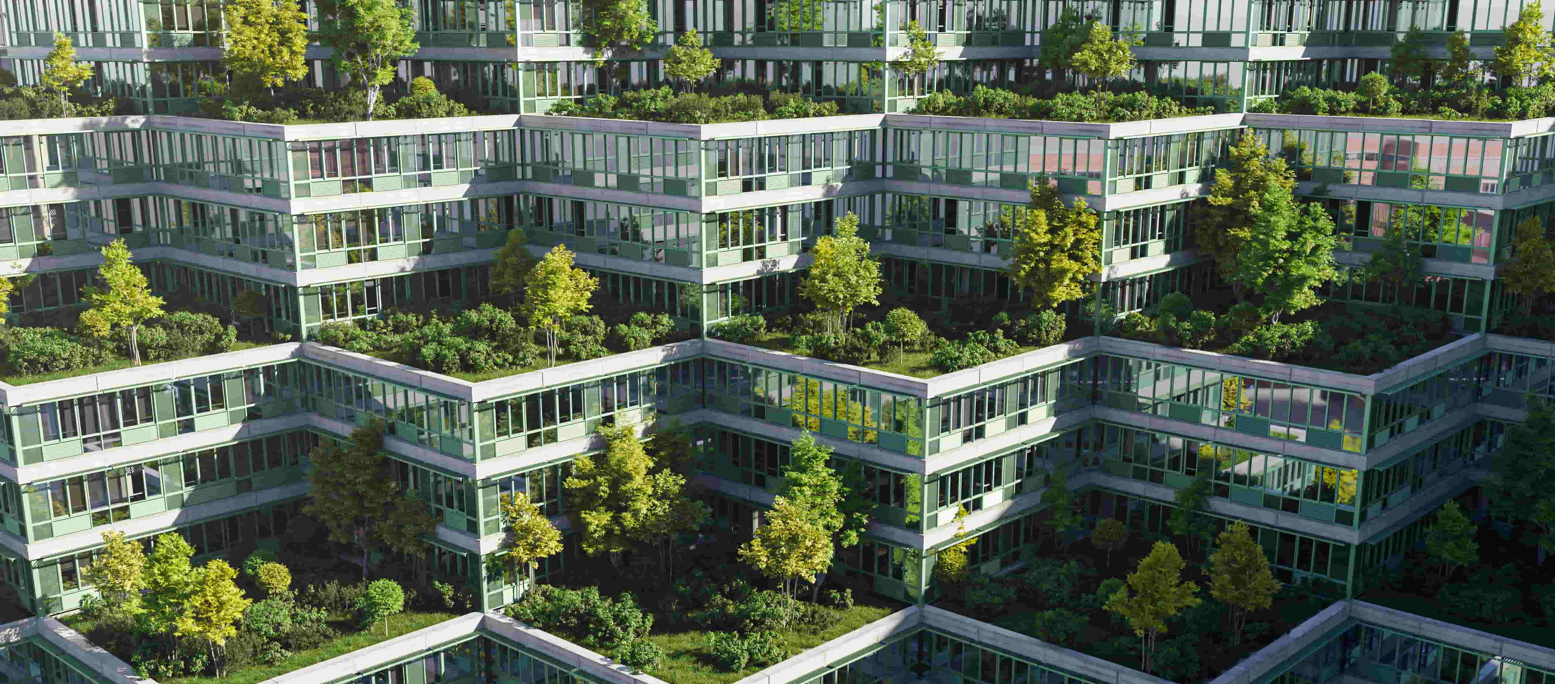Une rangée de maisons avec des toits faits de végétaux.