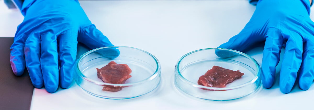 Produzione di carne in laboratorio