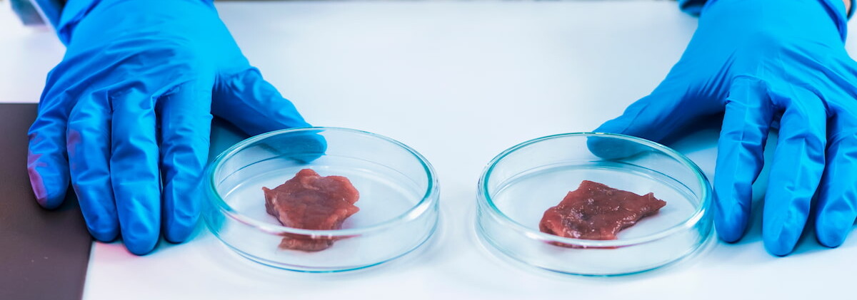 Production de viande en laboratoire