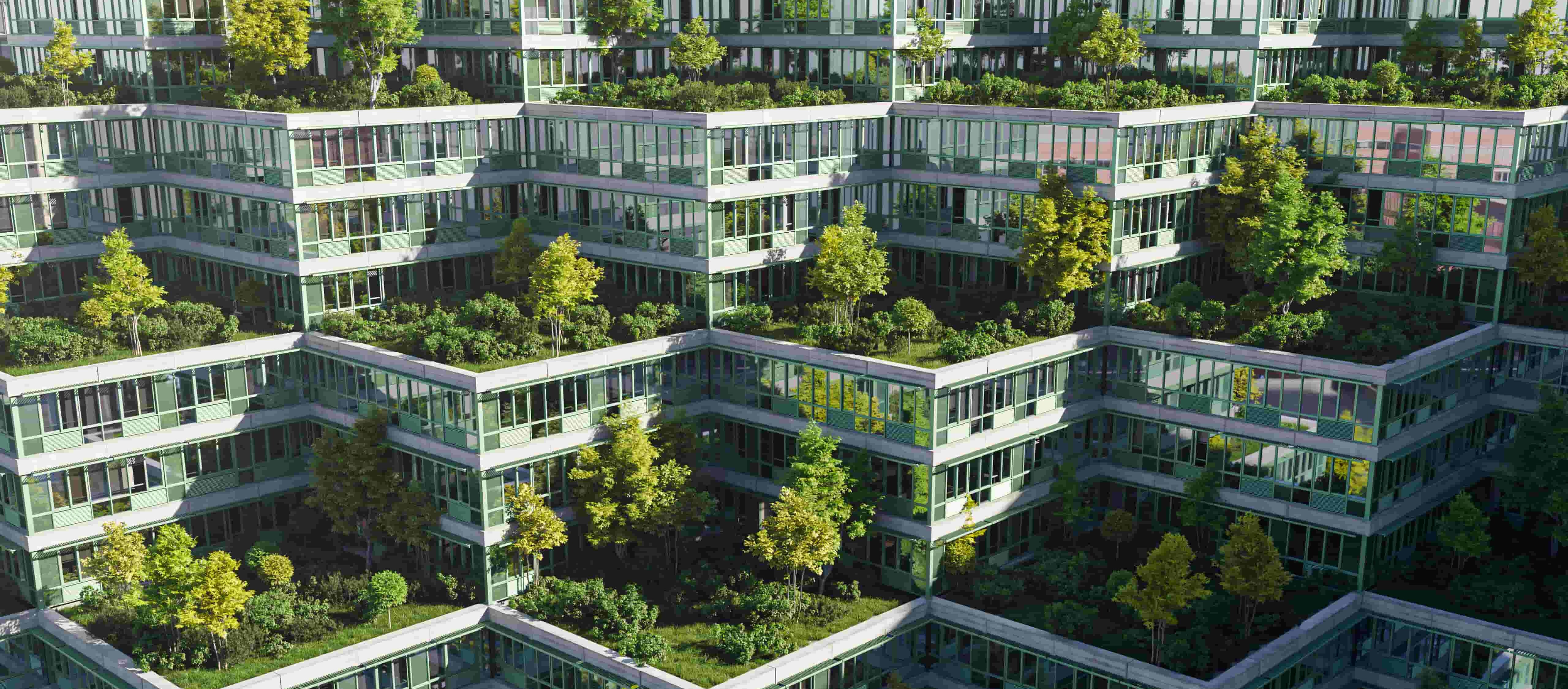 Una hilera de casas con techos hechos de plantas.
