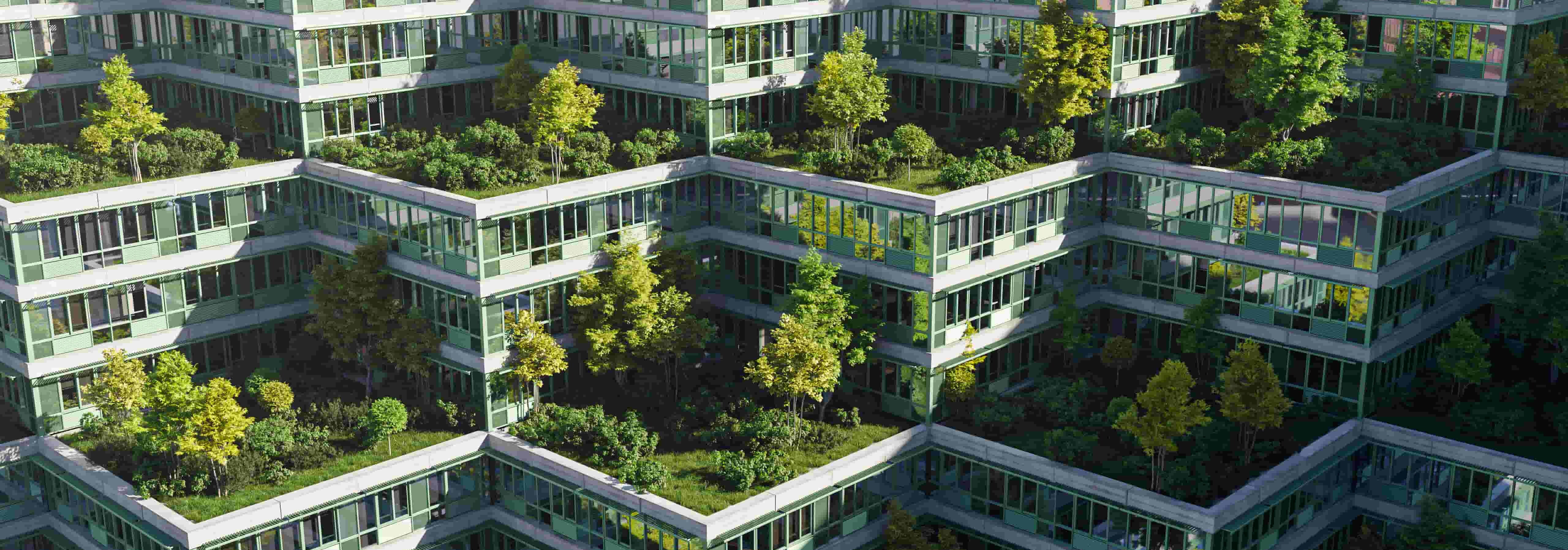 Une rangée de maisons avec des toits faits de végétaux.