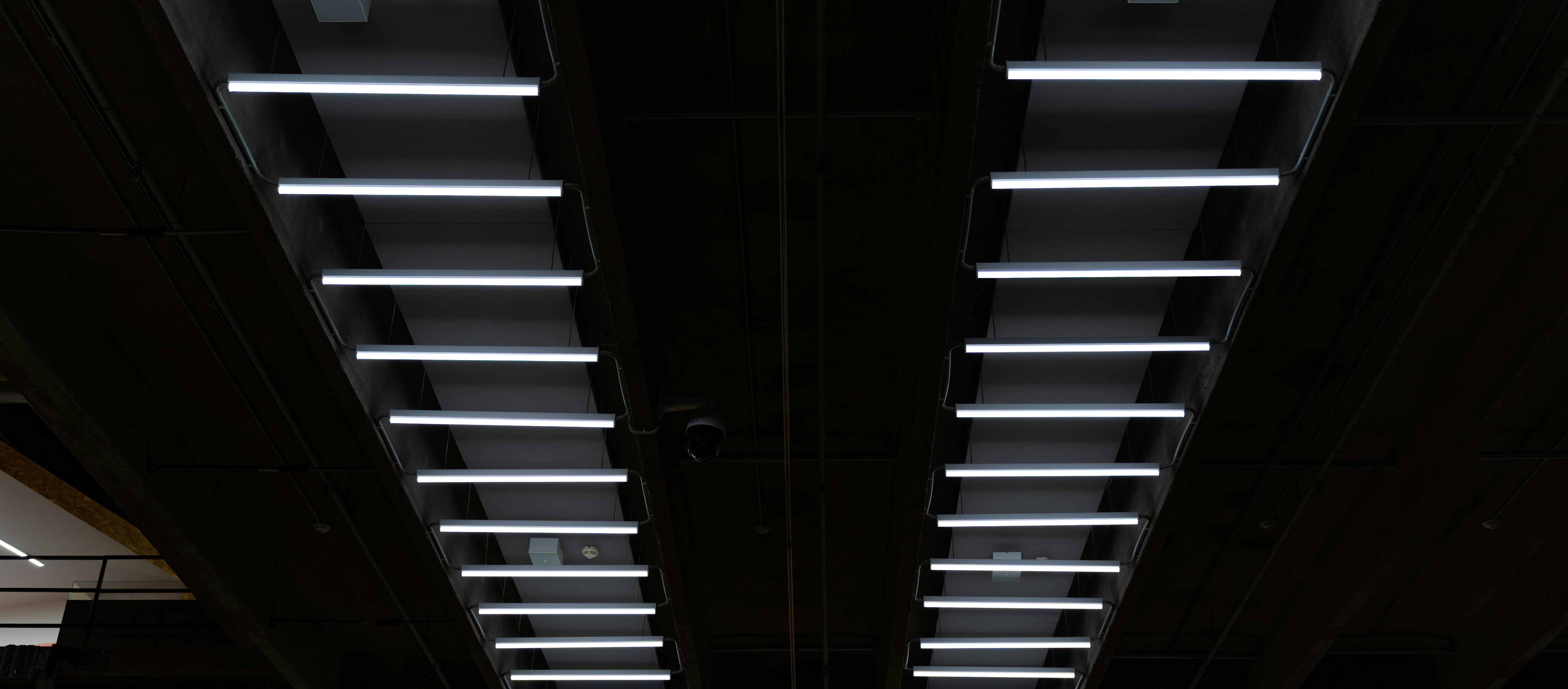 Fluorescent Bulb Dimensions: T5, T8 and T12 Sizes Explained