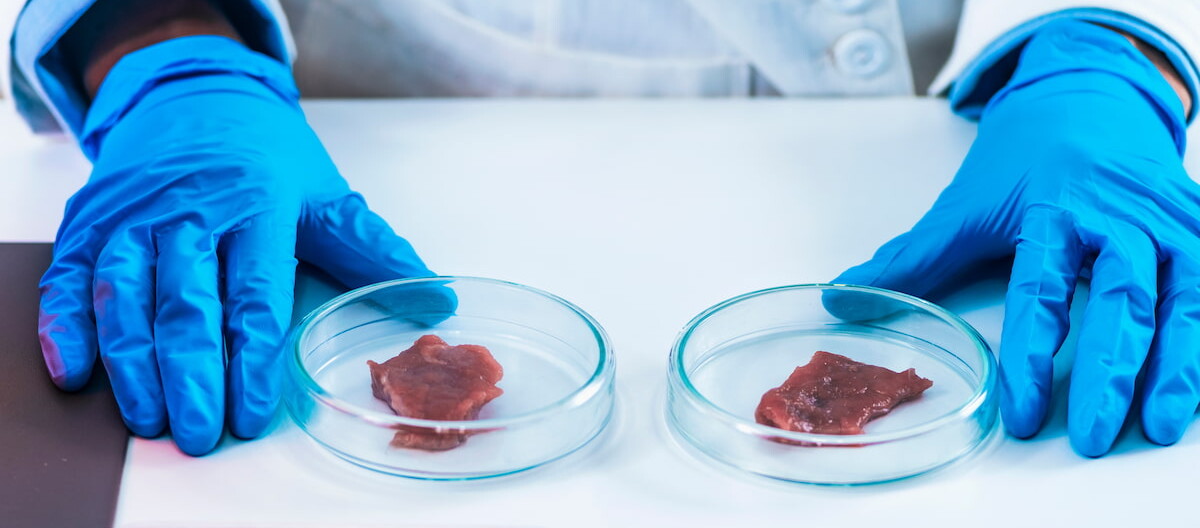 Production de viande en laboratoire