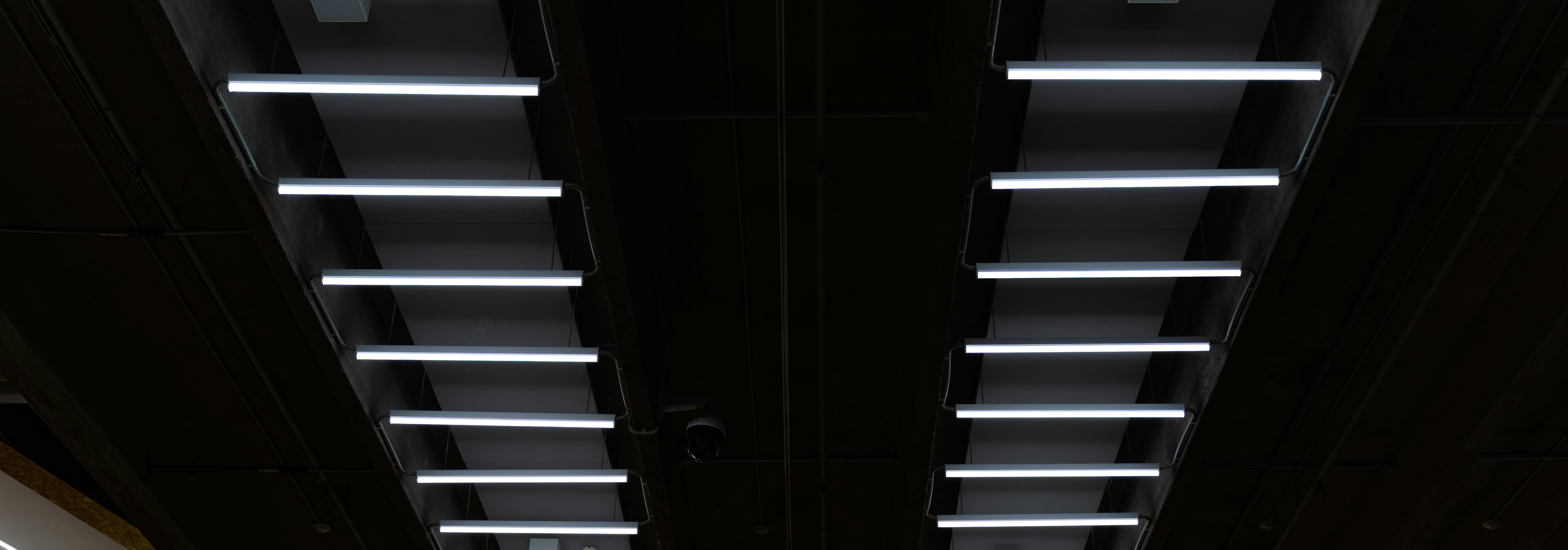 Fluorescent Bulb Dimensions: T5, T8 and T12 Sizes Explained