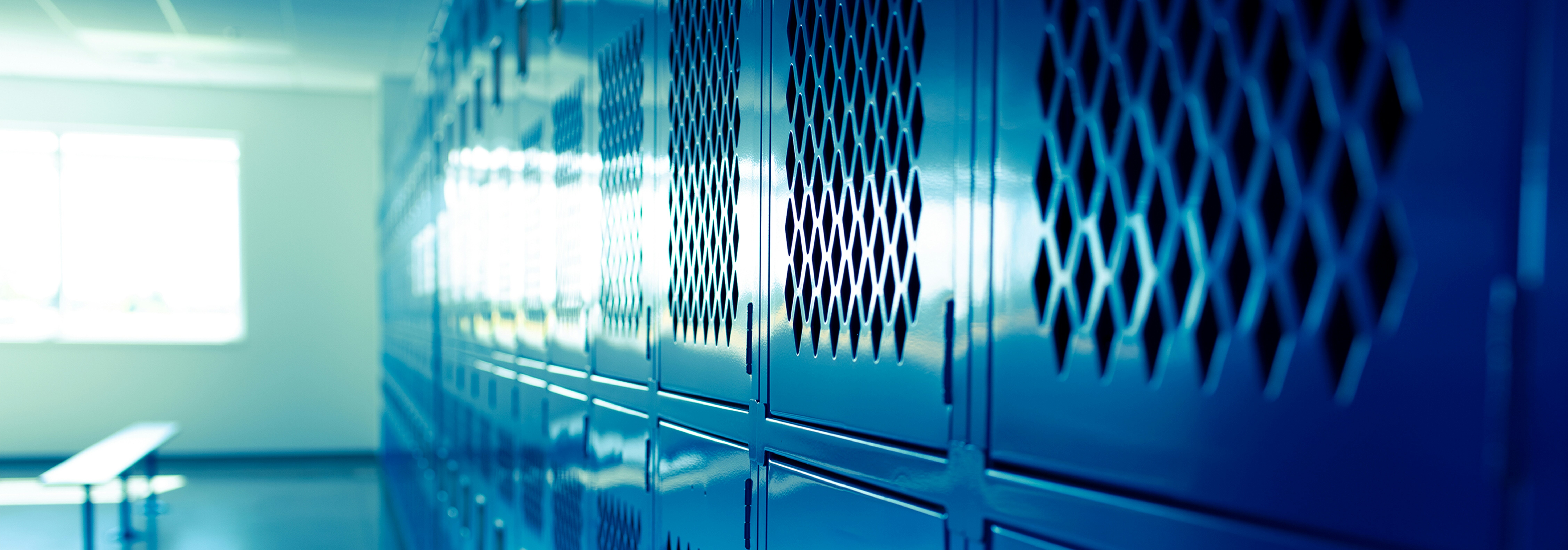 Which Lockable Metal Cabinets Are Best Suited for Tools and Heavy Material in a Workshop?&nbsp;