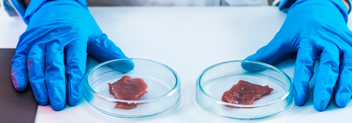 Producción de carne en laboratorio