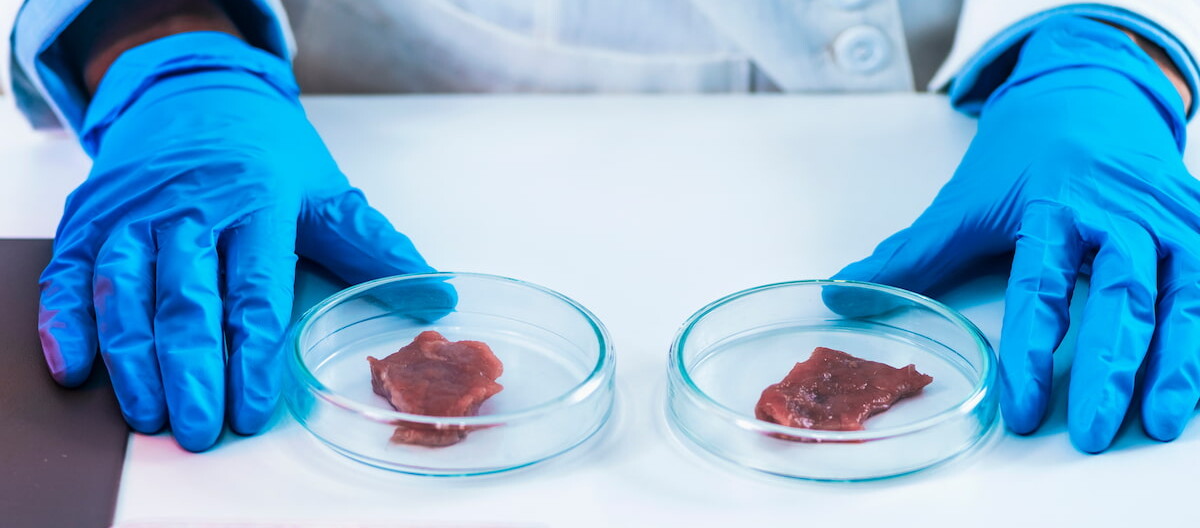 Producción de carne en laboratorio