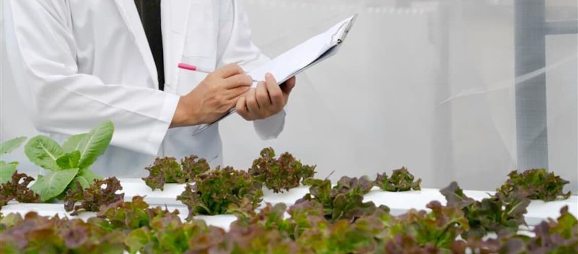 A specialist is documenting plants in the laboratory.