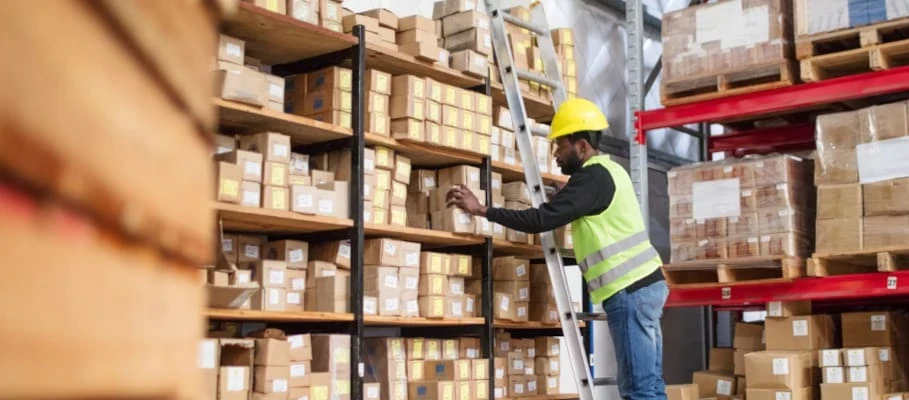 Warehouse worker checks boxed inventory on storage shelves.