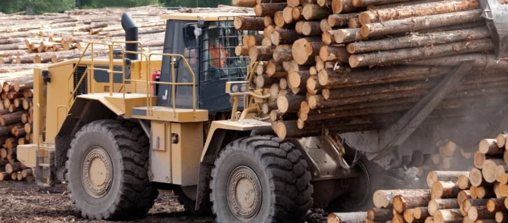 Perché il legno scarseggia e quali sono i materiali alternativi che stanno guadagnando terreno