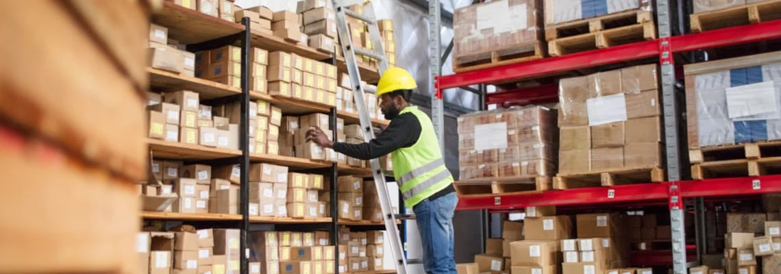 Warehouse worker checks boxed inventory on storage shelves.